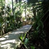 Wekiva Springs