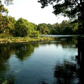 Wekiva River