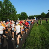 Scenic-2010-start