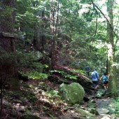 photo (5)