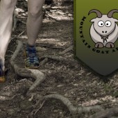 Sutallee Trace Trail Challenge